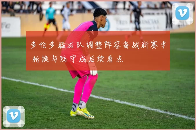 多伦多猛龙队调整阵容备战新赛季 轮换与防守成后续看点