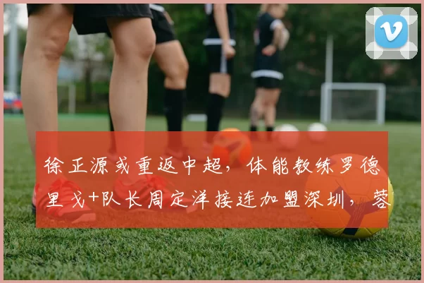 徐正源或重返中超,体能教练罗德里戈+队长周定洋接连加盟深圳,蓉城系人马暗流涌动_鹏城_教练席_1