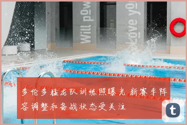 多伦多猛龙队训练照曝光 新赛季阵容调整和备战状态受关注