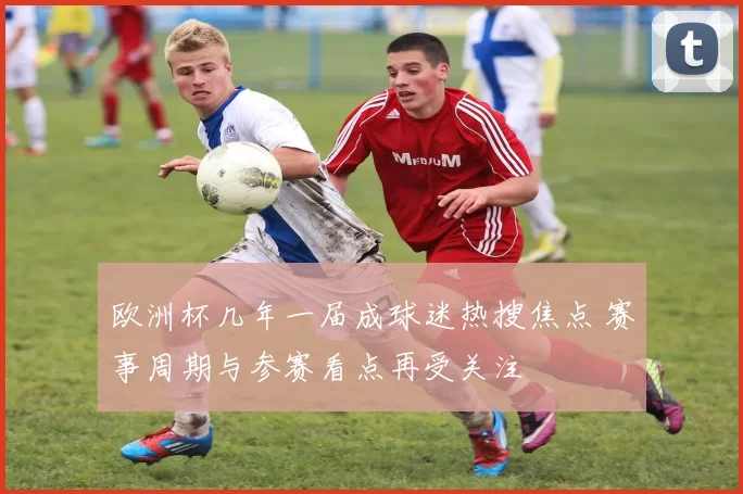 欧洲杯几年一届成球迷热搜焦点 赛事周期与参赛看点再受关注