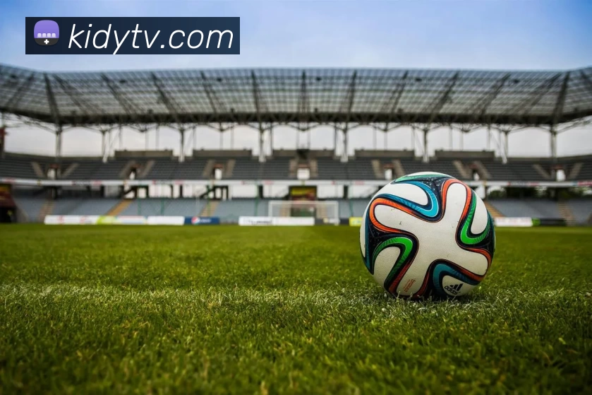 完美体育唯一官网APP 体育赛事宣传图